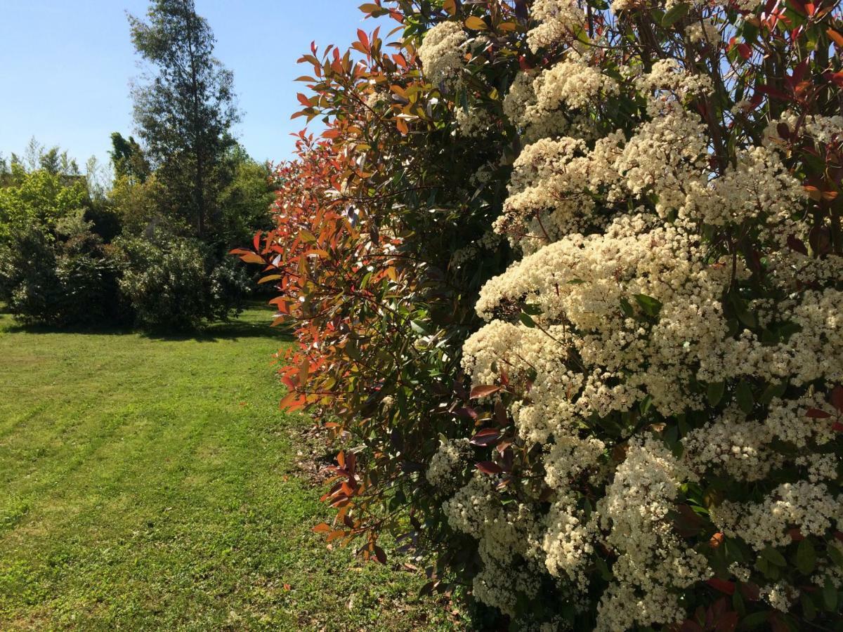 Cottage La Villa Bolero Saint-Cyr-sur-Loire Buitenkant foto